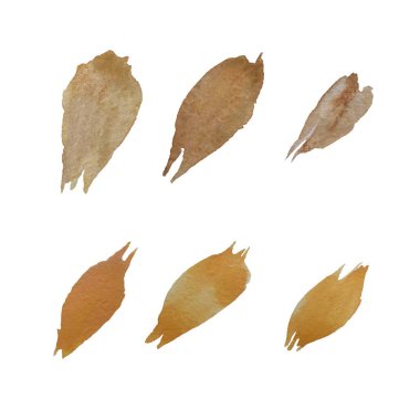 Yaprak pembesi şeftali çiçeği seti çizimi. Suluboya çizimi. El yapımı ve izole edilmiş. Tasarım, kumaşlar, baskılar, tekstil, kartlar, davetiyeler, afişler, kuponlar, kuponlar. 