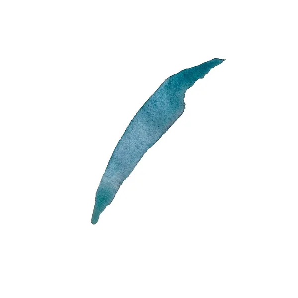 Blütenblatt Gänseblümchen Kamille Marineblaue Skizze Eine Aquarell Illustration Handgezeichnete Textur — Stockfoto