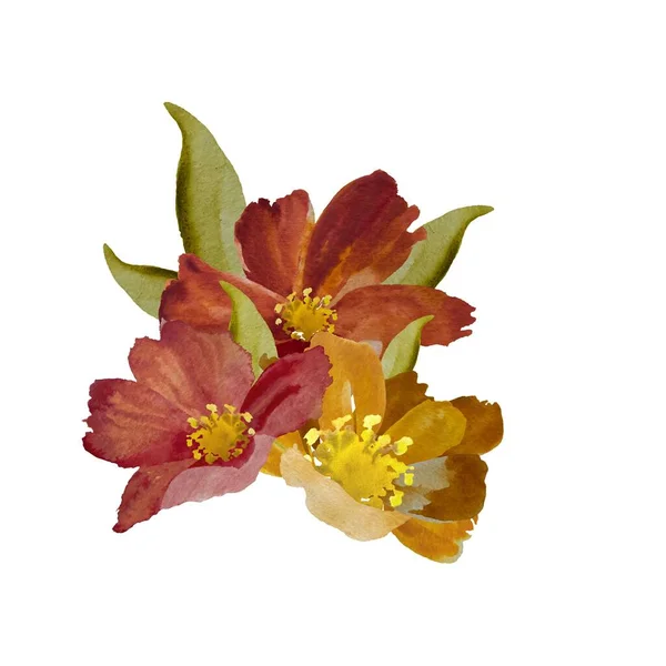 Pfingstrose Rote Blume Gelber Strauß Skizze Eine Aquarell Illustration Handgezeichnete — Stockfoto