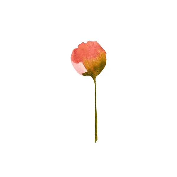 蕾ピンクの赤い牡丹の花の植物のスケッチ 水彩画です 手描きの質感と隔離 デザイン ファブリック プリント テキスタイル カード 招待状 バナー — ストック写真