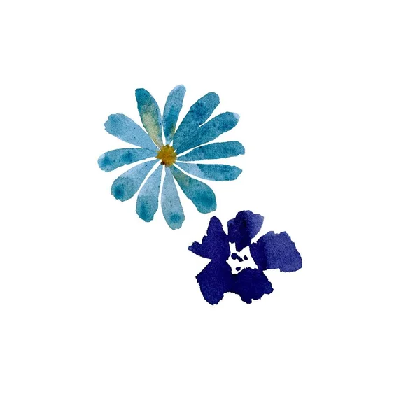 Niebieski Szkic Fioletowy Altówki Daisy Ilustracja Akwarela Ręcznie Rysowane Tekstury — Zdjęcie stockowe