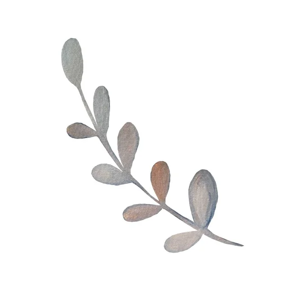 Flower leaf nature grey mystic sketch. A watercolor illustration. Hand drawn texture and isolated. For to use in design, fabrics, prints, textile, cards, invitations, banners, coupons, vouchers.