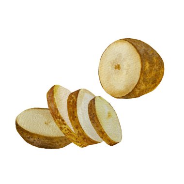 Patates dilimli kompozisyon skeci. Suluboya el çizimi çizimi. Yemek kitabı, mutfak tasarımı, menü, giysi, tekstil, duvar kağıdı, peçete için kullan.. 