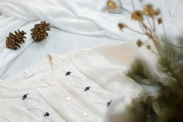 Beyaz arkaplanda çam kozalağı kış süslemesi.