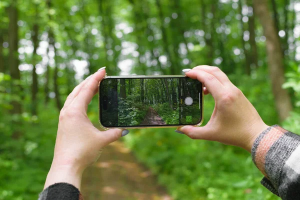 Mobile travel photography. A woman\'s hands are holding a smartphone, capturing photos of a beautiful forest.