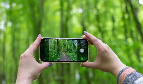 Mobile travel photography. A woman\'s hands are holding a smartphone, capturing photos of a beautiful forest.
