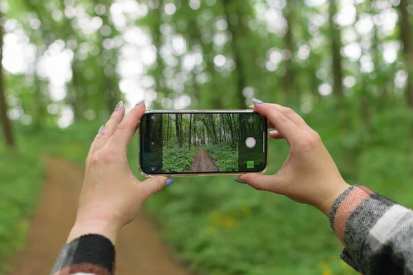Mobile travel photography. A woman's hands are holding a smartphone, capturing photos of a beautiful forest.
