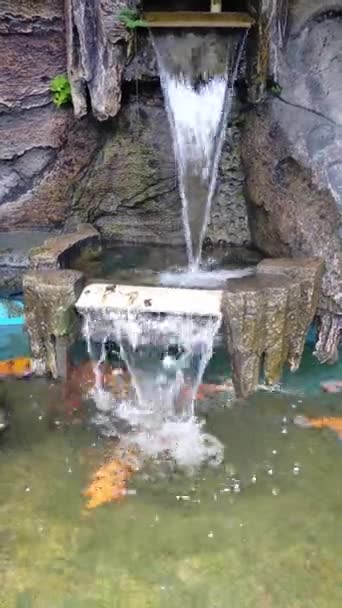 Καταρράκτη Nat Koi Χρυσόψαρο Ponhydrodite Πέτρα Καφέ Καθαρό Νερό Κήπο — Αρχείο Βίντεο