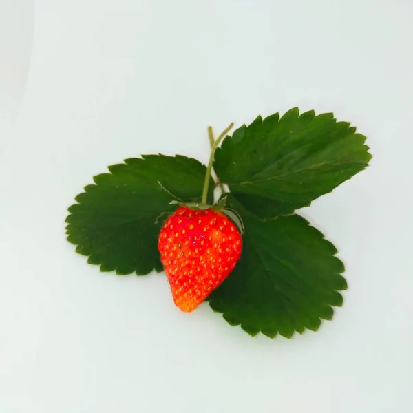Rosso Fragola Frutta Verde Foglie Bianco Sfondo — Foto Stock