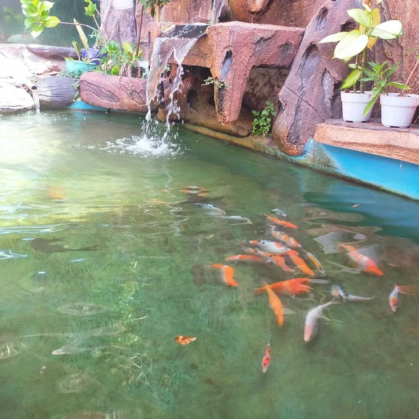 Fuente Agua Jardín — Foto de Stock