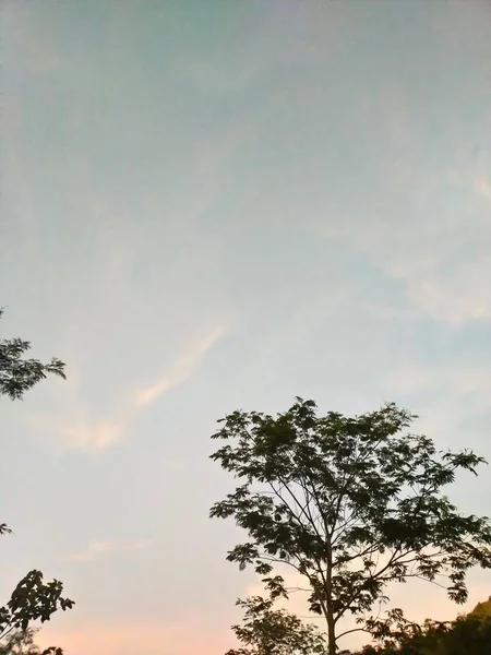 Mavi Turuncu Gökyüzü Bulutlu Ağaçlar Çiçekli Dağlar Doğal — Stok fotoğraf