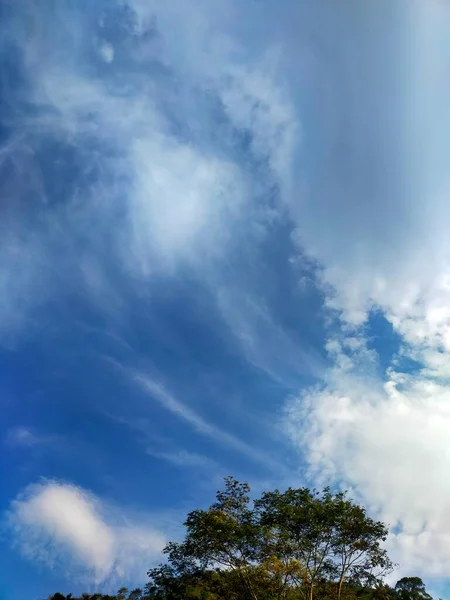 Céu Azul Laranja Árvores Nubladas Flores Montanhas Natural — Fotografia de Stock