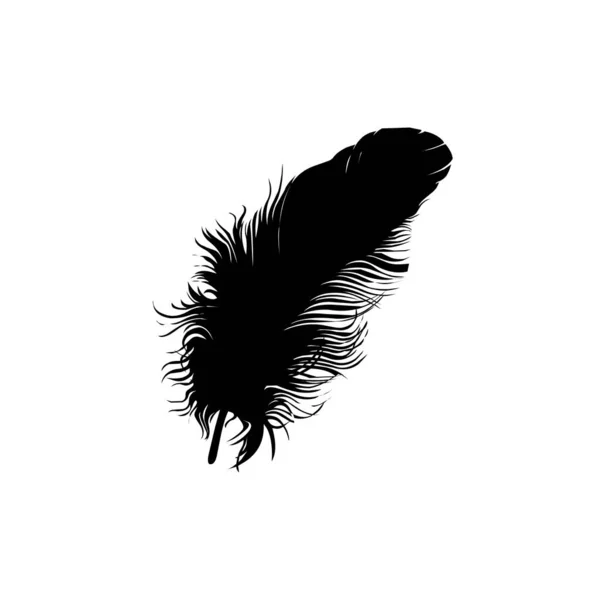 feather icon on white background