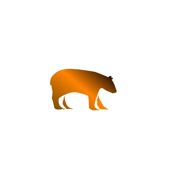 Niedźwiedź Logo Wektor Ikona Ilustracja Wzór Projektu — Zdjęcie stockowe