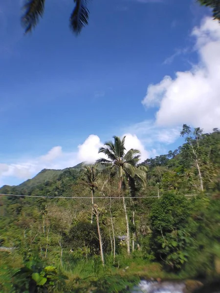 Grüne Tropische Landschaft Dschungel — Stockfoto