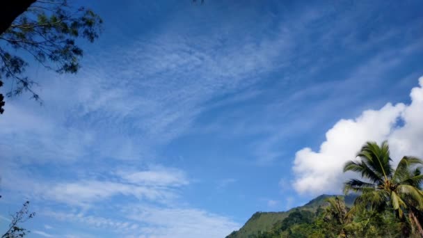 Angitforests Βουνά Πράσινα Δέντρα Λευκό Συννεφιασμένο Ουρανό Καθαρό Γαλάζιο Ουρανό — Αρχείο Βίντεο