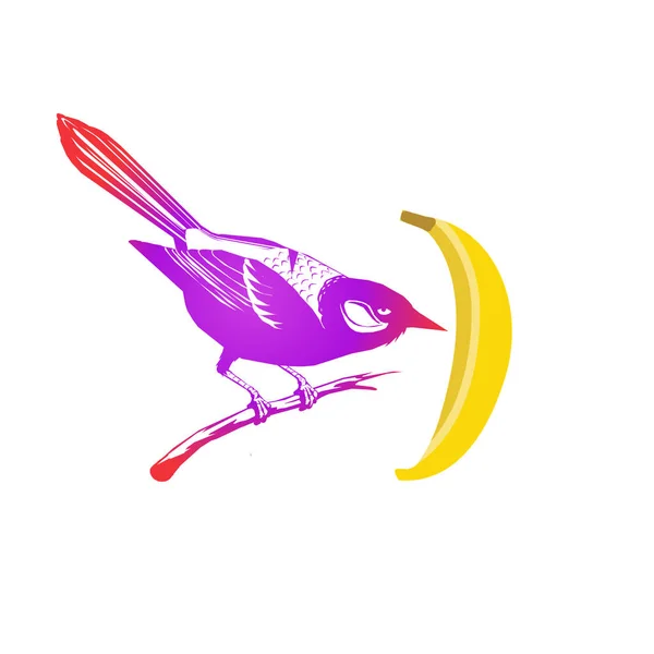 Fågel Vektor Illustration Handritad Skiss Isolerad Vit Bakgrund — Stockfoto