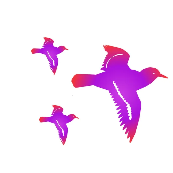 Aves Voadoras Silhuetas Fundo Branco — Fotografia de Stock