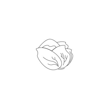 CABBAGE ICON VECTOR ILLUSTRATION SYMBOL DESIGN