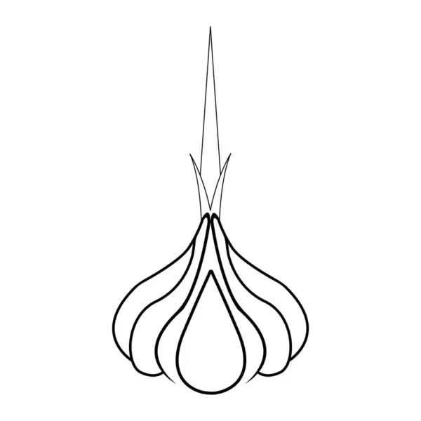 Garlic Icon Vector Illustration Symbol Design — Stock Vector