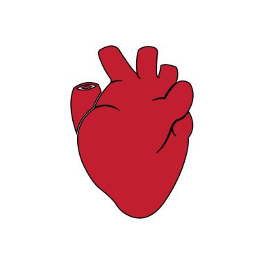 ANATOMİK Yürek İKTİ VECTOR SÜRÜLÜĞÜ SİMBOL DESİGN