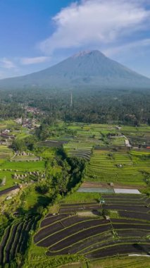 Pirinç tarlası ve Agung dağı Sidemen köyü Bali Endonezya 'da