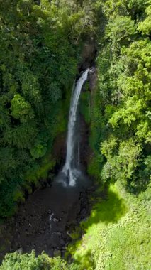 Singaraja Bali Endonezya 'daki Gitgit şelalesinin havadan görünüşü