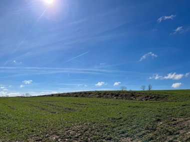 Yazın güneşli gökyüzüne karşı tarla 