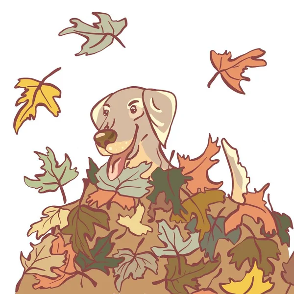 stock vector Cute and cozy vector illustration of a puppy (dog) playing in a pile of leaves. Colored flat illustration. Hand drawn, doodle style.