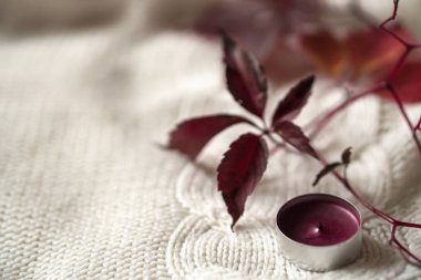 Burgundy yaprakları yabani üzümler ve kızılcık aromalı mum beyaz örgü kumaştan bir arka planda.