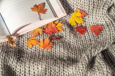 Pembe açık defter ve örülmüş gri bir kumaşın arka planında sonbahar renkli yapraklar..