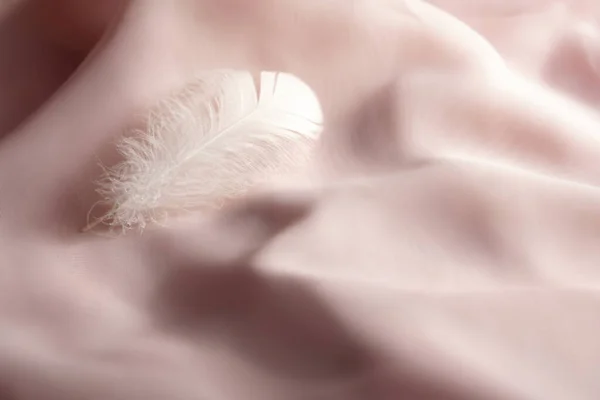 Weiße Feder Auf Rosa Stoff Pudrige Farbe Sanft Rosa Hintergrund — Stockfoto