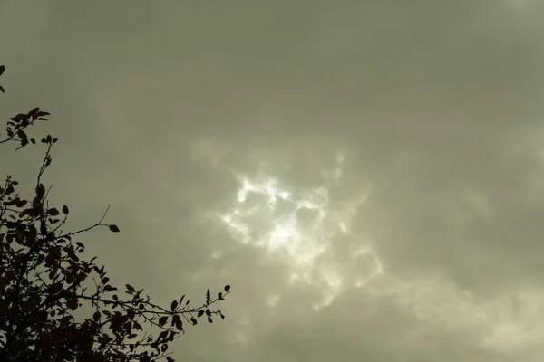 Sonnenfinsternis Astronomisches Phänomen Der Mond Verdeckt Die Sonne Teilweise — Stockfoto