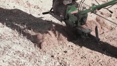 Arkasında bir traktörle arazinin işlenmesi. Toprak sürme. Kış için toprağı hazırlıyorum. Bahçe. Bahçe işleri..