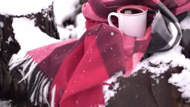 Ein Becher Heißgetränk Einen Warmen Karierten Schal Gehüllt Auf Schneebedeckten — Stockvideo
