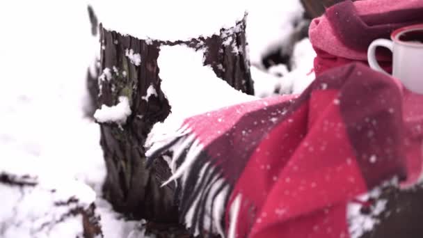 Kubek Gorącej Kawy Zawinięty Ciepły Szalik Kratkę Pokrytych Śniegiem Kłodach — Wideo stockowe