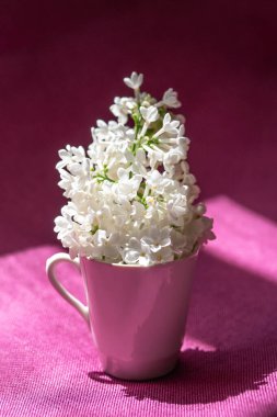 Fuşya kumaşında küçük bir fincanda beyaz leylak..