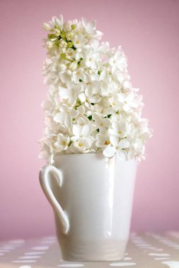 Pembe arka planda küçük bir fincanda beyaz leylak. Puantiyeli bej masa örtüsü..