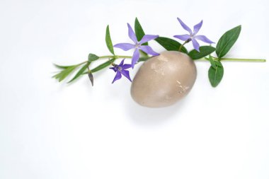 Beyaz arka planda paskalya yumurtası ve menekşe renginde. Paskalya bahar çiçekleri. bahar