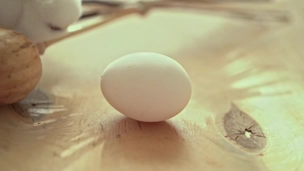 Uovo Papavero Cotone Superficie Legno Pasqua — Video Stock