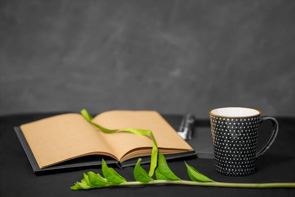 notebooks, a sketchbook, a cup, a green twig on a black background.