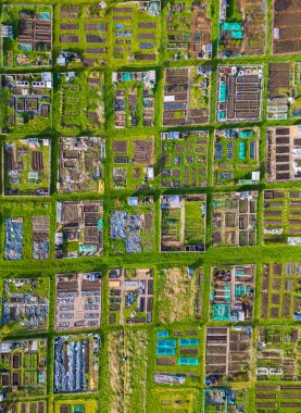 Bahar havasında geometrik desen oluşturan sebze rezervlerinin havadan görünüşü. Leeds, Batı Yorkshire 'daki Alwoodley Allotments, yukarıdan izleniyor.. 
