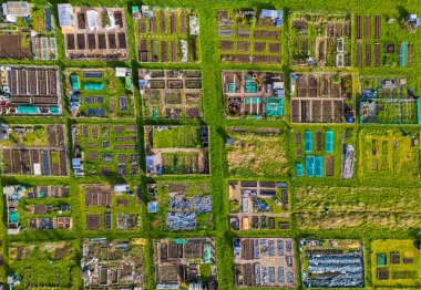 Bahar havasında geometrik desen oluşturan sebze rezervlerinin havadan görünüşü. Leeds, Batı Yorkshire 'daki Alwoodley Allotments, yukarıdan izleniyor.. 