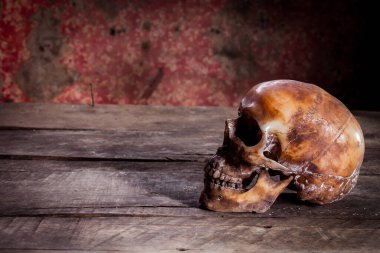 Eski ahşap arka planda insan kafatası.