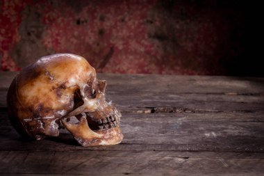 Eski ahşap arka planda insan kafatası.