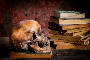 Bir kafatası ve ahşap masa kitap ile natürmort