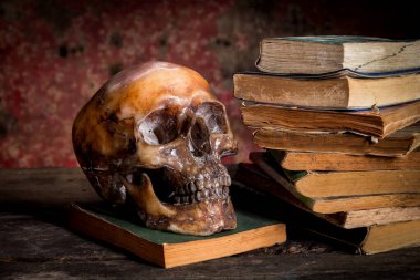 Bir kafatası ve ahşap masa kitap ile natürmort