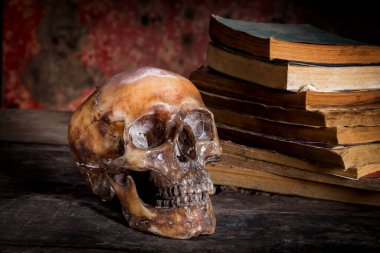 Bir kafatası ve ahşap masa kitap ile natürmort