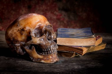 Bir kafatası ve ahşap masa kitap ile natürmort