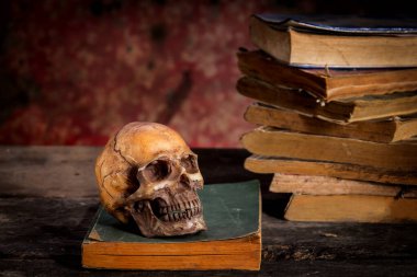 Bir kafatası ve ahşap masa kitap ile natürmort